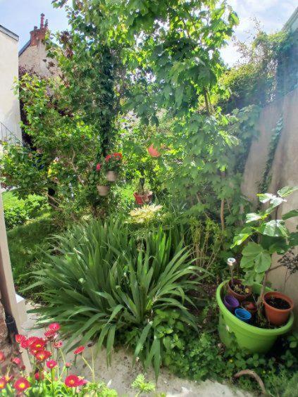 Appart Rez De Jardin Dijon Bagian luar foto